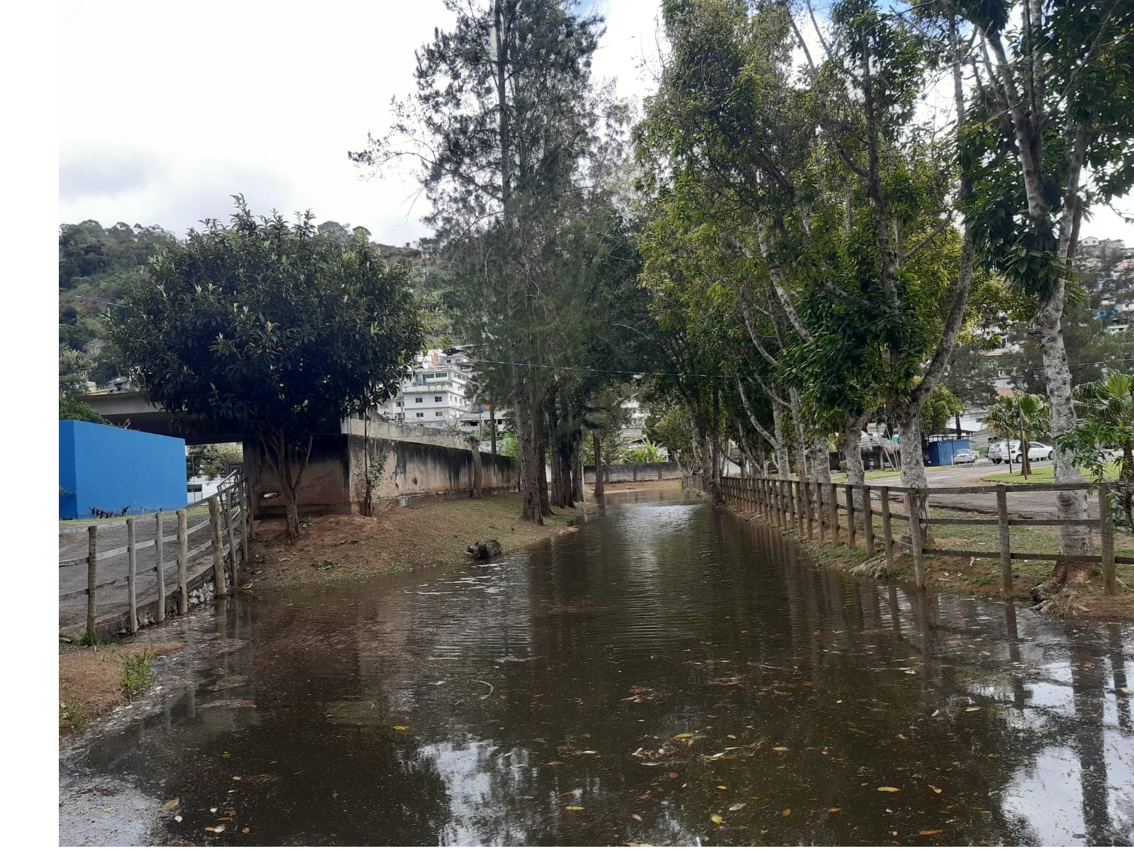 CEFET/RJ Nova Friburgo durante um dia após muita chuva, o que passa no meio do campus transbordou e criou uma espécie de lago